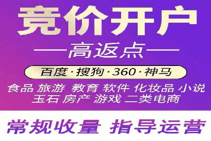 百度竞价账户托管的技巧与策略：从入门到精通的案例解析
